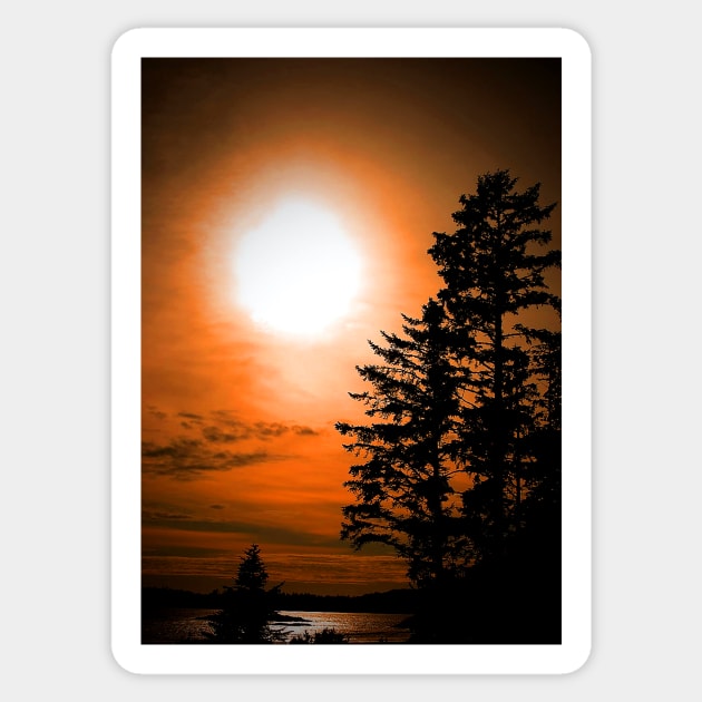 Sunset Long Beach Tofino Vancouver Island Canada Sticker by AndyEvansPhotos